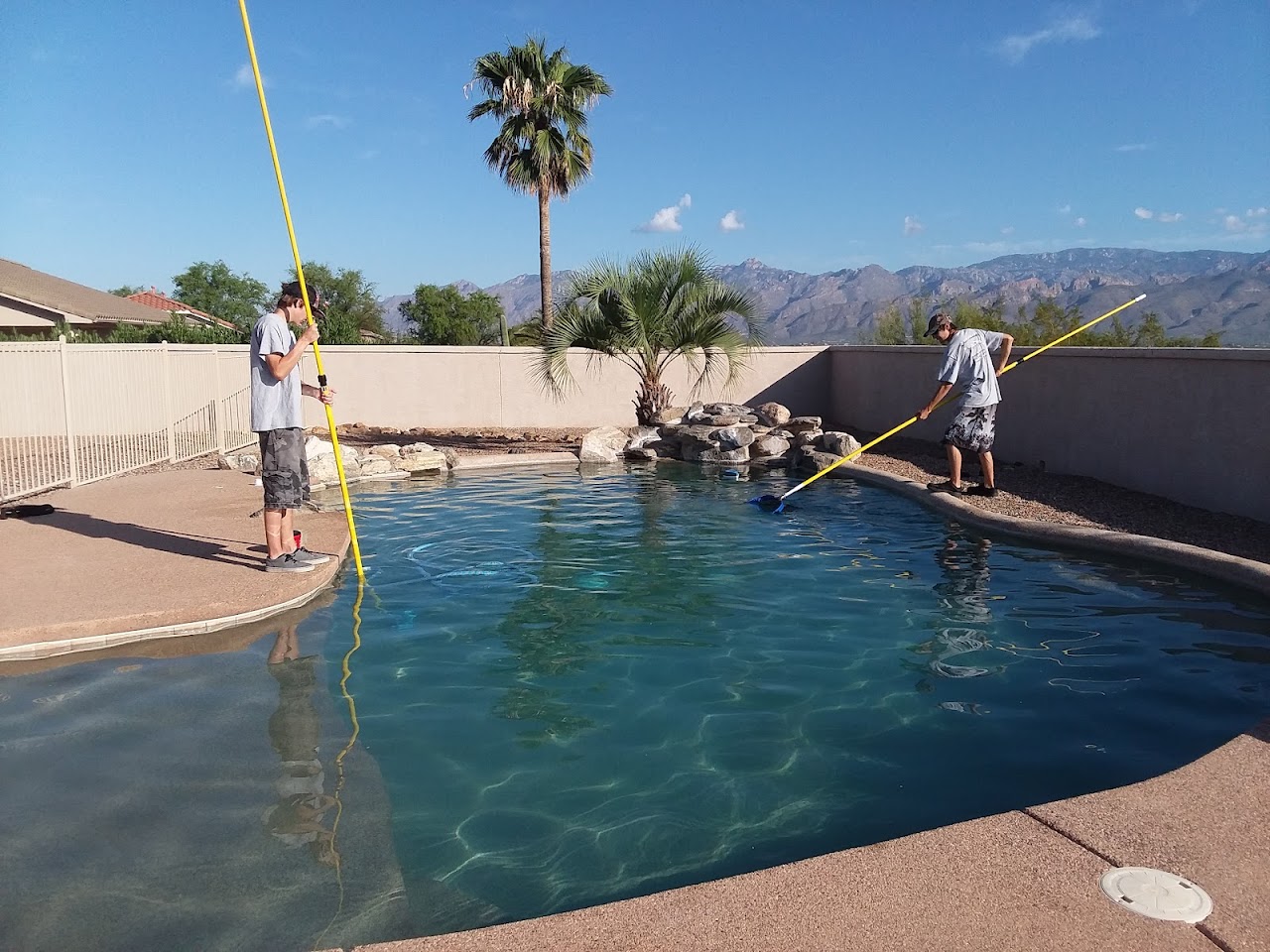 Barracuda Pool Services project